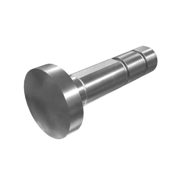 Piston Caterpillar 8J-5593