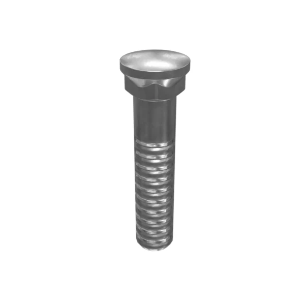 Surub plug lama Caterpillar 209-9311