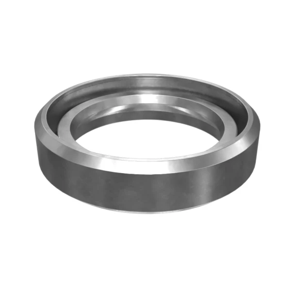 300-0518: SEAL-LIP TYP