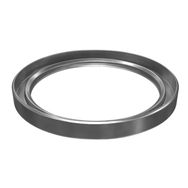 504-6605: SEAL-LIP TYP